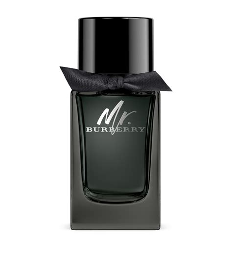 mr burberry 100ml eau de parfum